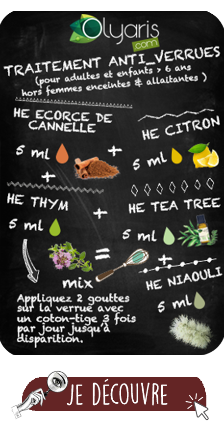 Huile Essentielle de Niaouli : le Guide Complet par Olyaris